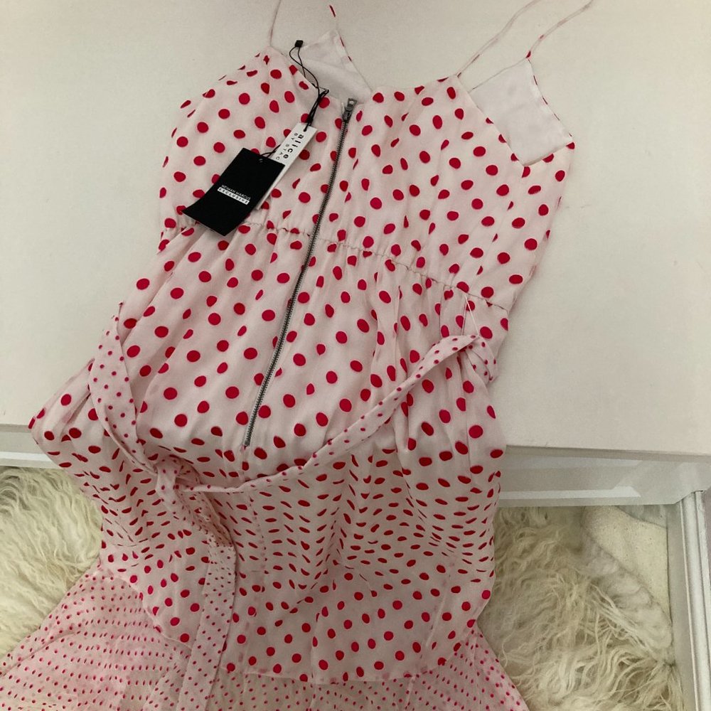 ALICE + OLIVIA Polka Dot Print Long Dress - Picture 11 of 11